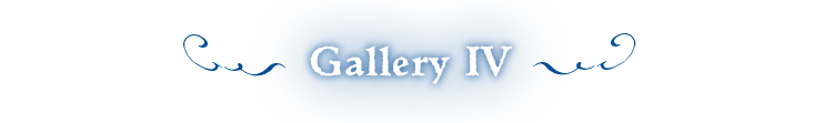 Gallery IV